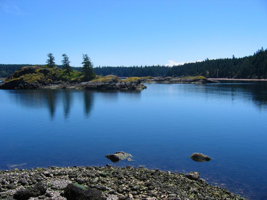 Gowlland Harbour Resort Heriot Bay Номер фото